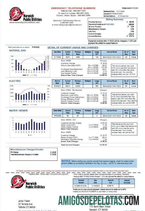 Em branco modelo Word e PDF de fatura de serviços públicos de serviços públicos dos EUA NORUGUE